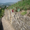 Historische Trockenmauer