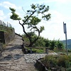 Steinbank unterhalb der Trockenmauer