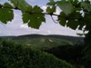 Blick auf das Sngerheim (2004)