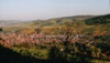 Blick auf Stetten 