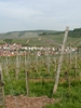 Blick "Von Gaiern"