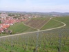 Blick auf die Stufenweinberge