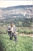 Der Stettener Winzer Ernst Bader im Gewann "Gaiern" um 1960